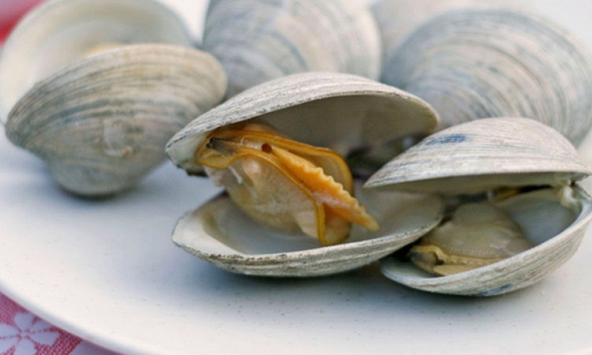 4 thực phẩm dễ tích tụ cả 'mỏ kim loại nặng', độc tính mạnh gấp nhiều lần thủy ngân