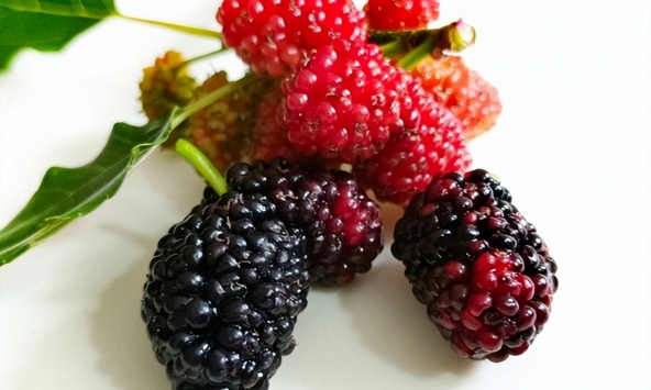 4 loại trái cây người Việt ăn hàng ngày giúp bồi bổ máu nuôi dưỡng gan, chợ bán giá rất rẻ