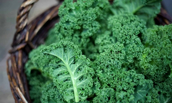 Mỹ công bố top 12 loại rau quả 'ngậm' nhiều thuốc trừ sâu nhất 2026, bất ngờ với thứ ở vị trí đầu tiên