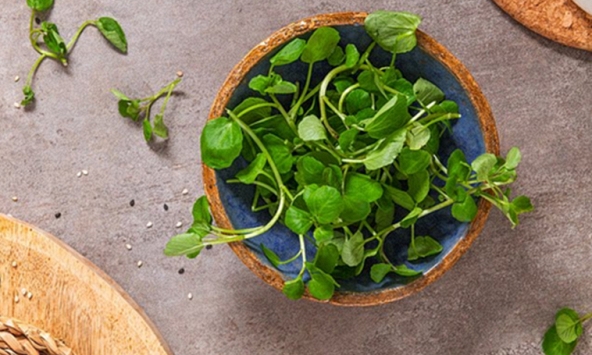Loại rau 'tốt nhất thế giới', giàu chất chống oxy, giảm cholesterol xấu được chuyên gia dinh dưỡng công nhận