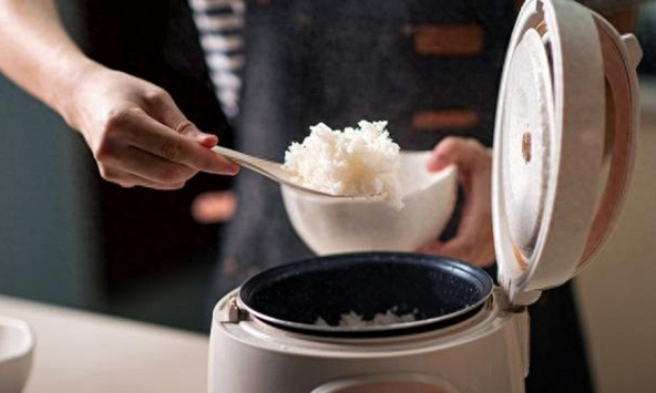 Tại sao nồi cơm điện không nên giữ ấm quá 4 tiếng?