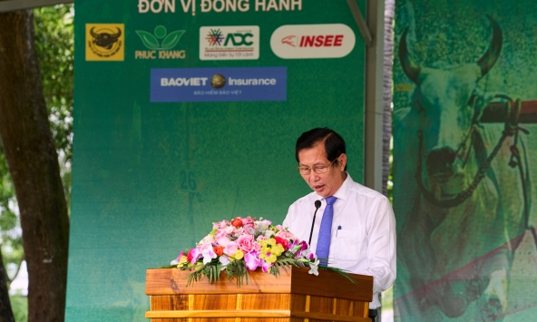 Bình Điền và 5 năm nối dài sức sống di sản Đua bò Bảy Núi