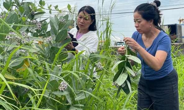 Theo dấu thảo dược – Hành trình thầm lặng của hai nữ tiến sĩ