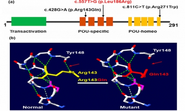 Giải trình tự gen thế hệ mới: Mở đường cho chẩn đoán bệnh hiếm ở người Việt