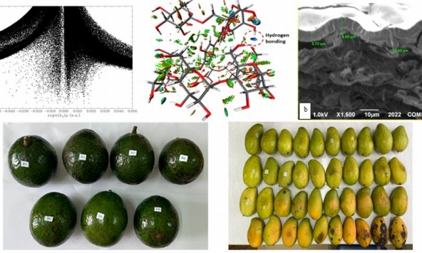 Phát triển nhóm nghiên cứu xuất sắc và hành trình đưa vật liệu nano vào thực tiễn cuộc sống