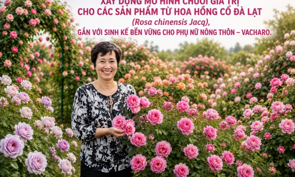 Từ một loài hoa bản địa đến chuỗi giá trị mới cho phụ nữ nông thôn