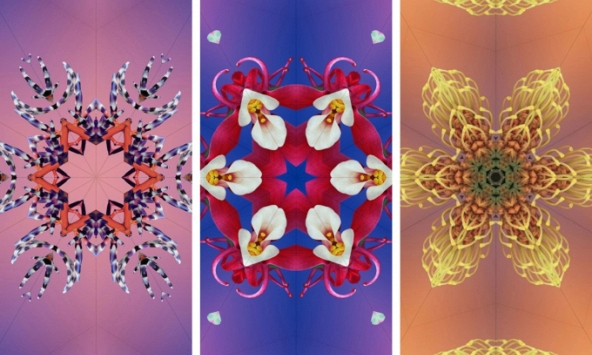 iOS 17 có hàng loạt hình nền kính vạn hoa cực đẹp nhưng đã bị Apple giấu đi, đây là 3 bước đơn giản để tìm ra!