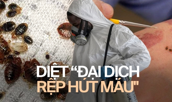 Chuyên viên kể chuyện đối phó 'đại dịch hút máu' tại Paris: Nửa đêm khách gọi đòi nhân viên đến diệt rệp, một dịch vụ lên tới chục triệu đồng