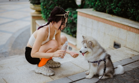 Dịch vụ đặc biệt cực 'đắt khách' mỗi dịp Tết: Khách hàng tranh nhau đặt lịch trước cả tháng, giá tăng 50% vẫn chẳng còn chỗ trống