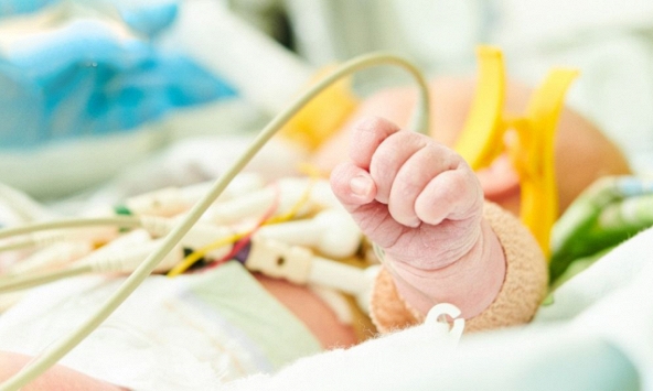 Bé trai chưa đầy 1 tuổi chân tay tím tái chỉ sau một cốc nước mật ong của bà nội, nguyên nhân gây bất ngờ