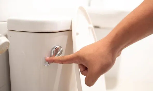 Đây là điều bạn không bao giờ được quên sau khi đi vệ sinh