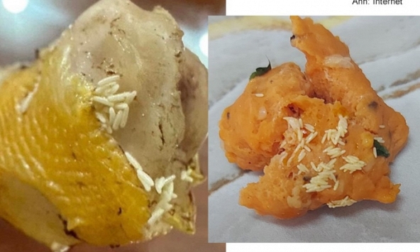 Thấy những 'hạt gạo' nhỏ trong đồ ăn, đừng ngần ngại bỏ thức ăn vào thùng rác