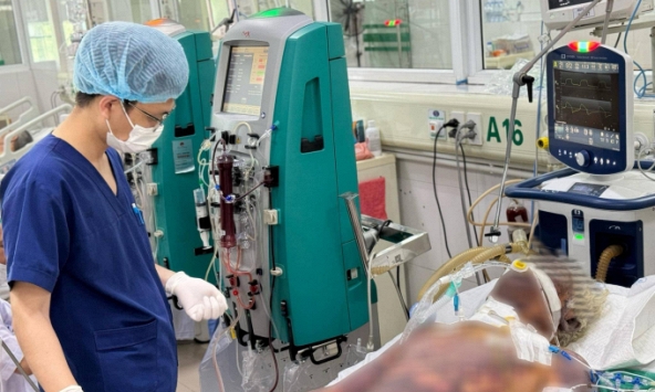 Hành nghề giết mổ lợn, người đàn ông Yên Bái nguy kịch vì mắc liên cầu lợn