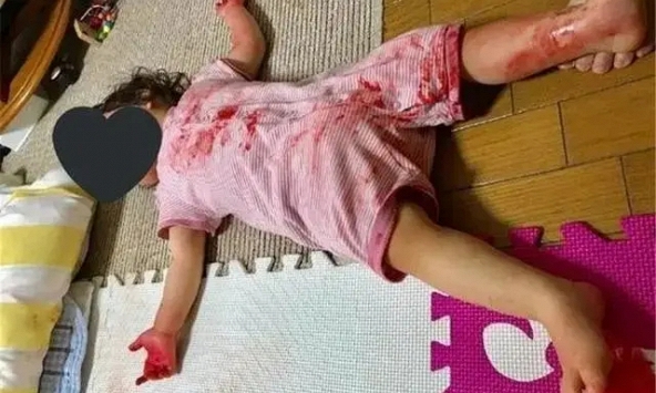 Bỏ con ở nhà một mình để đi lấy đồ ship, người mẹ suýt 'ngừng tim' khi nhìn thấy cảnh tượng sau đó