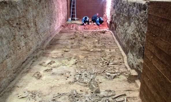 Sau 50 năm, nhóm khảo cổ phát hiện bí mật về nhiều bộ xương trong lăng mộ Tần Thủy Hoàng: Không phải của con người!