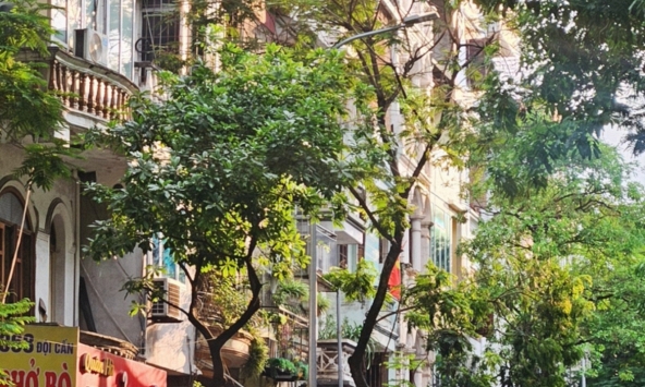 Tin vui cho thứ 2 mệt mỏi nhất: Chỉ cần vượt qua 117 ngày nữa thôi là có 5 ngày nghỉ liên tiếp!