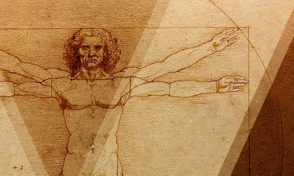 Hơn 500 năm sau Leonardo da Vinci, tỷ lệ cơ thể của đàn ông Việt có còn khớp với 'Người Vitruvius'?