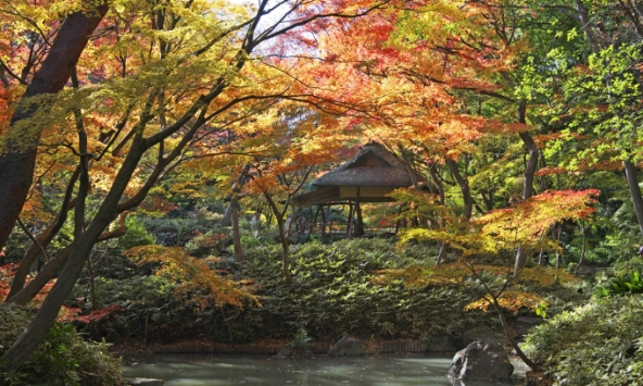 Những điểm đến mùa thu đẹp như trong cổ tích tại Nhật Bản