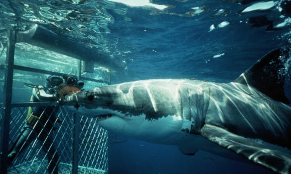 Những hành trình 'đau tim' nhất thế giới