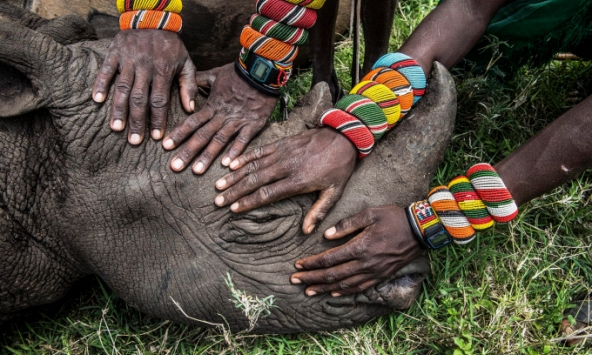 Những tấm ảnh mang thông điệp hy vọng cho năm 2020