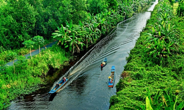 Du xuân nơi cực nam Tổ quốc