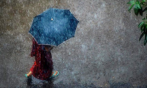 Xin nhau thuốc tẩy não