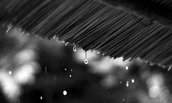 Những sáng mưa...