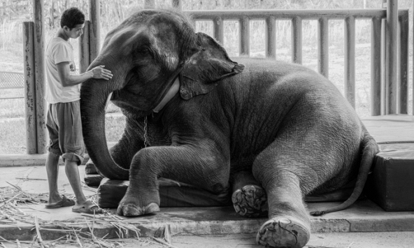 Những bức ảnh tuyệt diệu về lòng tin trong liên hoan ảnh Helsinkin