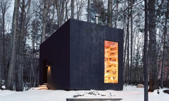 Người đàn ông xây 'căn phòng bí mật' chứa đầy sách giữa rừng