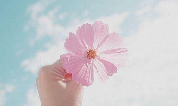 Chị phải hạnh phúc!