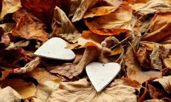 Thì anh cứ mơ đi