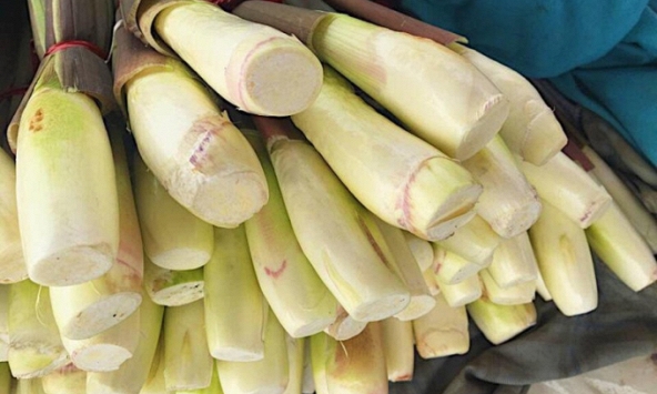 Củ niễng xào, món ngon chiều thu