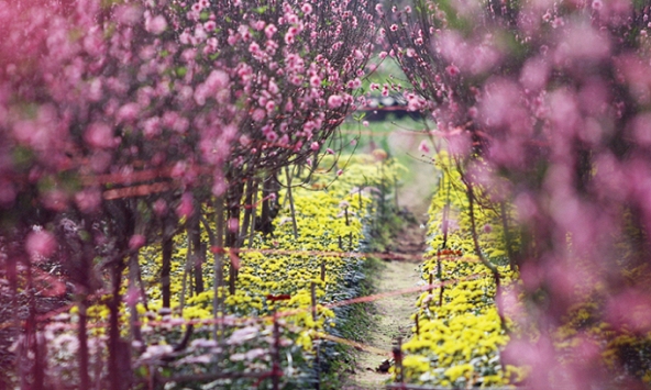 Yêu thương nào có mong manh