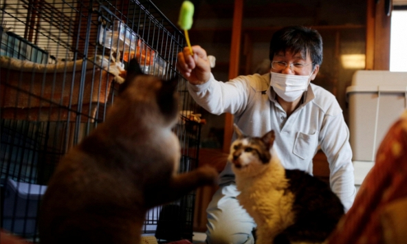 Người đàn ông chăm sóc những sinh vật cuối cùng trong thảm họa hạt nhân tại Fukusima