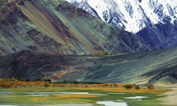 Ladakh, miền khắc nghiệt an nhiên