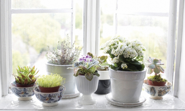 Trang điểm cho “đôi mắt” ngôi nhà