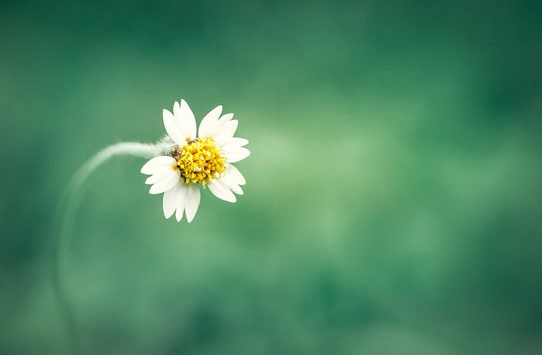 Mắc kẹt trong hạnh phúc