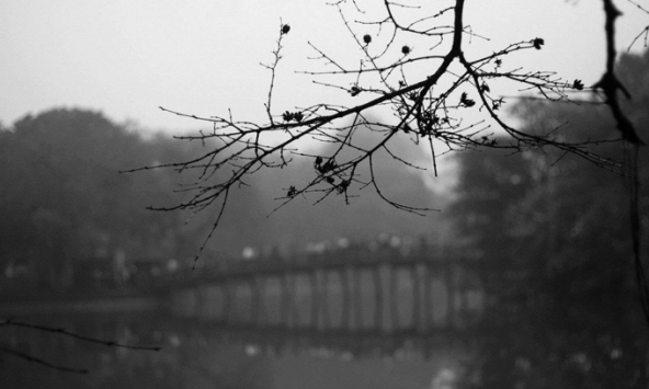 Gặp nhau những ngày hoang tàn