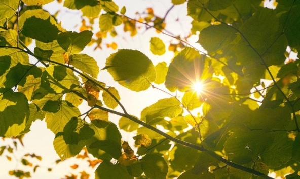 Thiên tai, chiến tranh, dịch bệnh... nhưng sau tất cả, nhân loại vẫn còn Tình Yêu!