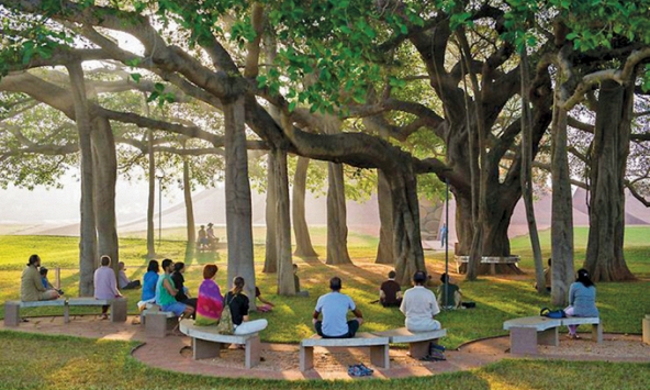 Một chuyến đến Auroville thiên đường trần thế