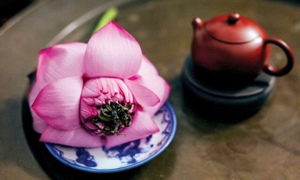 Mùa hoa nở giữa nhân gian