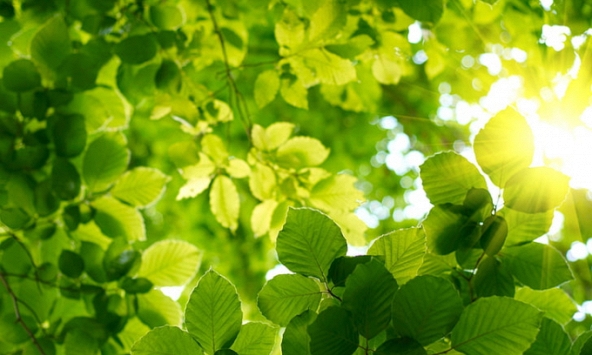 Kỹ năng sống hạnh phúc