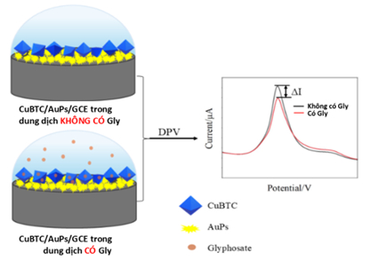 Cảm biến giúp phát hiện nhanh thuốc diệt cỏ độc hại