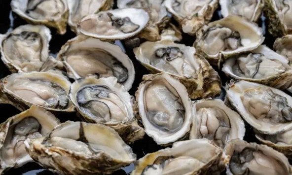 Keo sinh học lấy cảm hứng từ hàu có thể thay thế nẹp, vít kim loại trong phẫu thuật xương