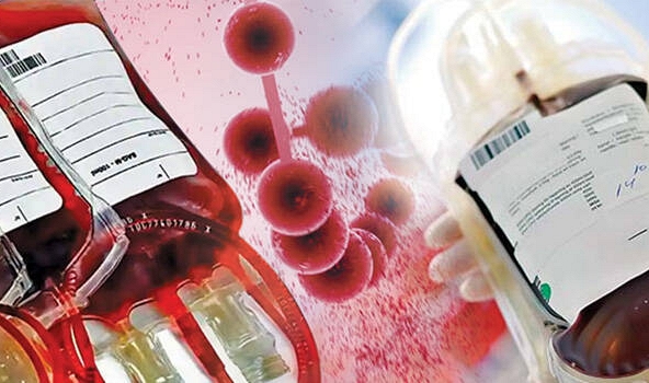 Tìm ra 'chìa khóa' mở đường cho giấc mơ sản xuất máu nhân tạo vô hạn
