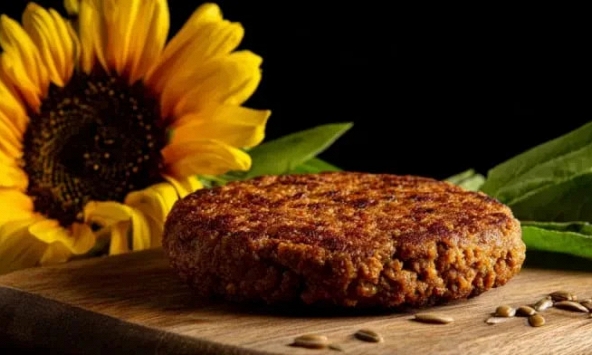 “Thịt chay” giàu dinh dưỡng từ bã hạt hướng dương, giải pháp thực phẩm bền vững cho tương lai