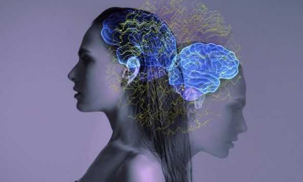 Các nhà khoa học lần đầu xác định được tế bào não liên quan đến trầm cảm