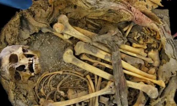 Xác ướp 1.000 năm tuổi hé lộ dấu vết của hệ vi sinh vật tiền sử 