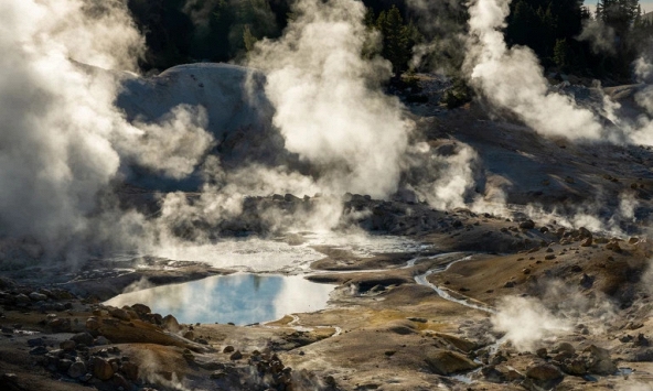 Phát hiện loài sinh vật mới có khả năng chịu nhiệt cao kỷ lục