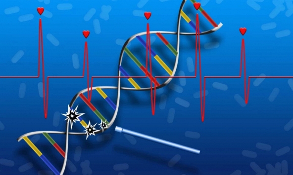 Ra đời loại thuốc đầu tiên có khả năng sửa chữa DNA và tái tạo mô